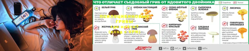 где купить наркоту  Андреаполь  Галлюциногенные грибы MAGIC MUSHROOMS 